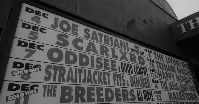 spreading tree dec 2018JPG